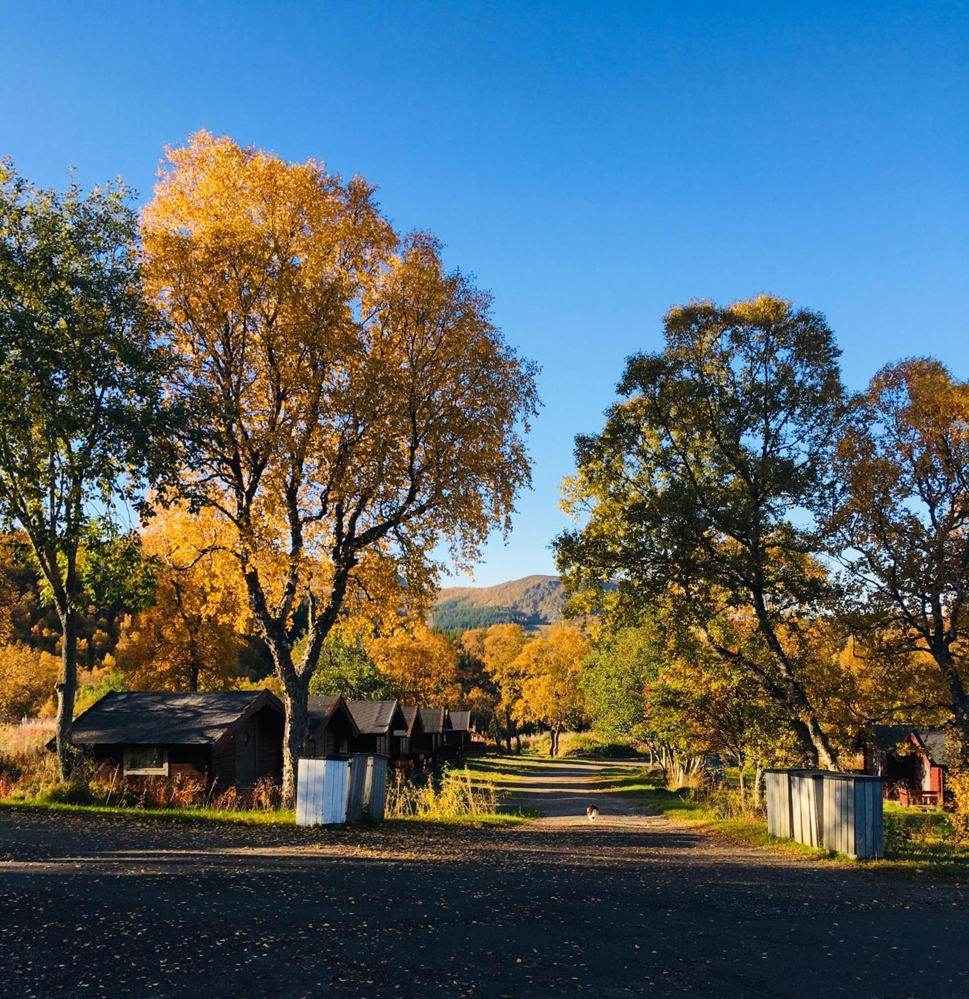 Sortland Camping Og Motell As Kültér fotó