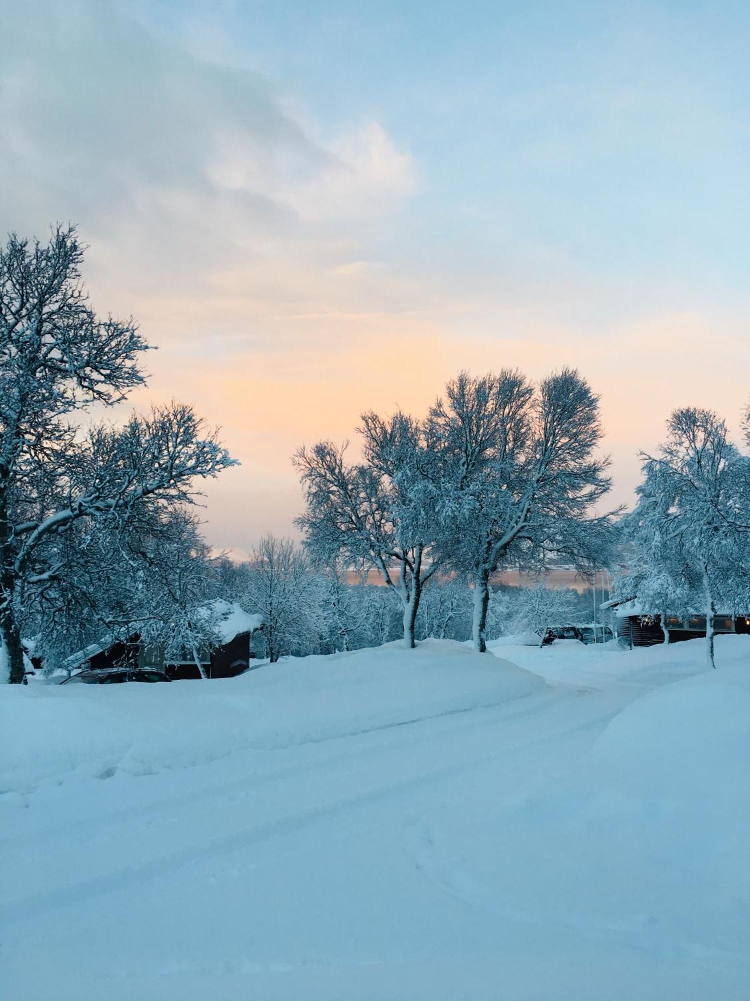 Sortland Camping Og Motell As Kültér fotó