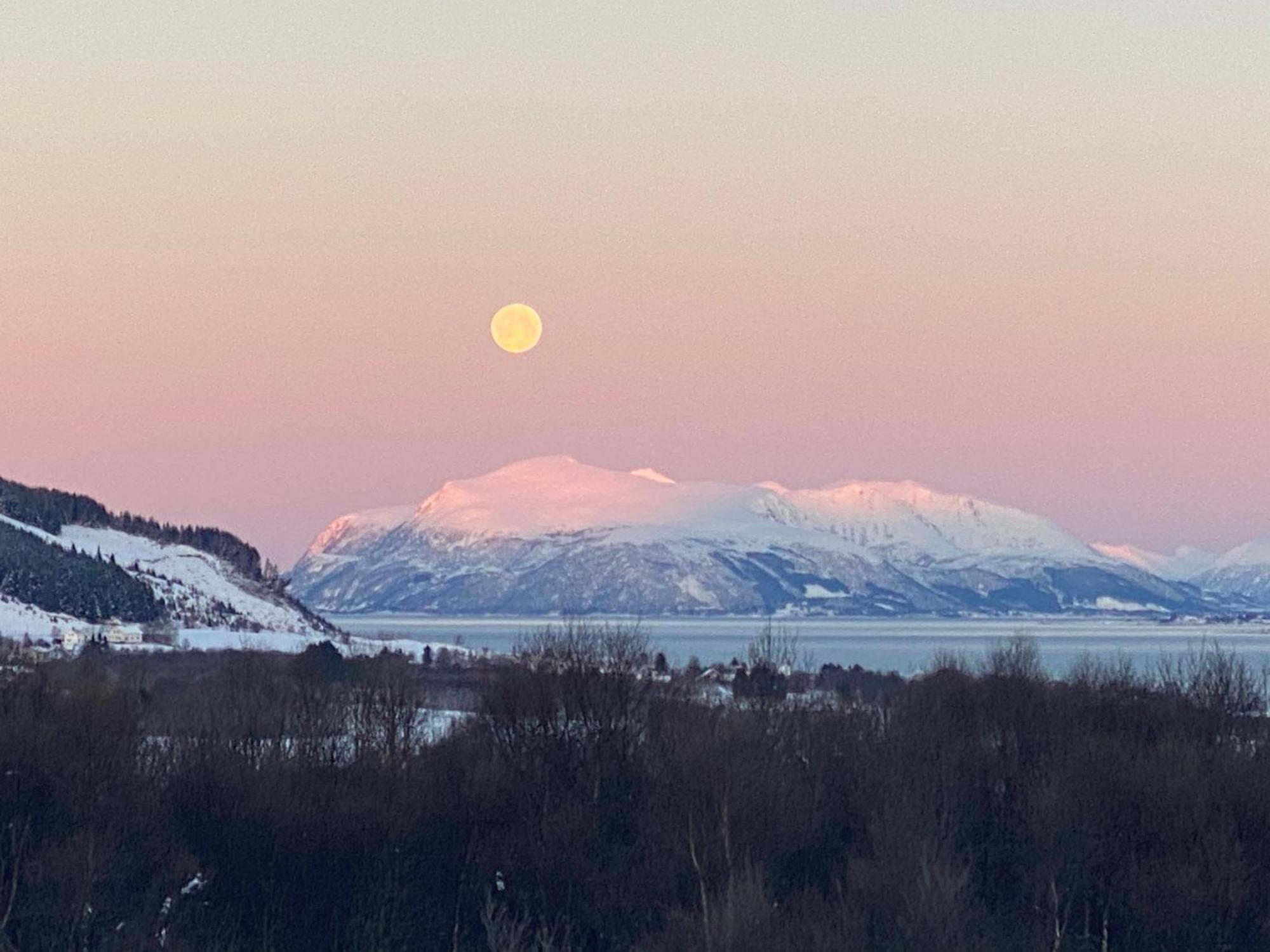 Sortland Camping Og Motell As Kültér fotó