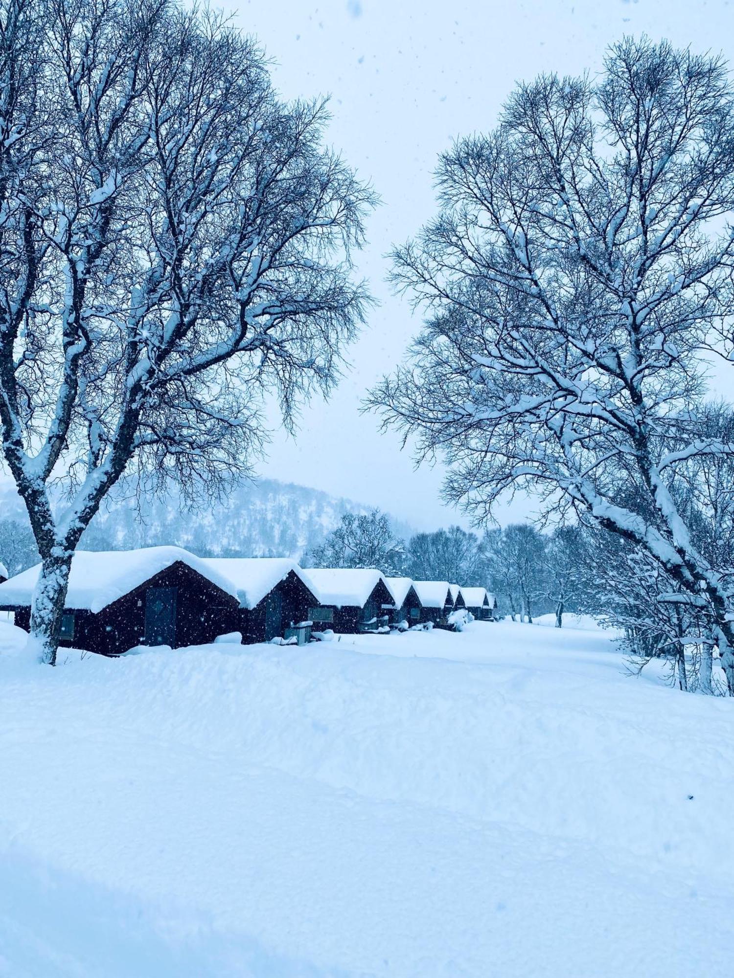 Sortland Camping Og Motell As Kültér fotó
